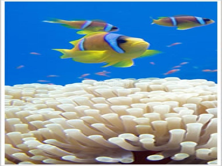 Scuba + Outdoor Pursuits Centre Cannock, prices and bookings 2024